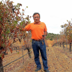 Félix Antonio González posa en la viña con una copa de tinto en la mano, un día del pasado otoño.-J.C.L.