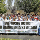 Cerca de 200 ganaderos frente a la consejería de Agricultura en una concentración en defensa del ovino de leche.-J.M. LOSTAU