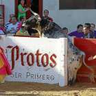 Uno de los astados atrapado en el burladero.-J.M. Lostau