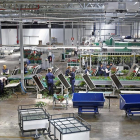 Instalaciones de la empresa Aleia Roses en Garray (Soria).-MARIO TEJEDOR