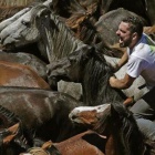 Imágen de la festividad Raspa das Bastas, tradicional en Galicia-PACMA