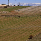Terrenos sembrados en la comarca agraria de Soria.-V. GUISANDE