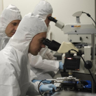 Varios investigadores observan a través del microscopio láminas de grafeno.-ENRIQUE CARRASCAL