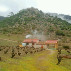 Vista de una viña recién podada, situada a 1.000 metros de altitud, en una ladera del sistema Central.-E. M.