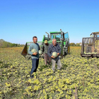 Moisés Tascón, agricultor de Puente Duero (Valladolid), junto a su hijo Moisés y varios trabajadores en plena recolección de calabazas en su explotación.-M.C.