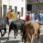 Uno de los encierros de las fiestas de Pedrajas de San Esteban.-E.M.