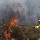 Varias hectareas de monte de pino arrasadas por un incendio en Serradilla del Llano(Salamanca)-Ical