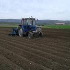 Un agricultor siembra patata en el Valle de Losa.-ECB