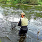 Un aficionado tras capturar una gran trucha en el río Tormes salmantino.-LEONARDO DE LA FUENTE