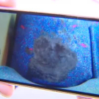 Laura enseña la foto del asiento del autobús en el que se sentó su hijo Pau de 17 años. Una sustancia abrasiva, negra y muy viscosa estaba encima de la tela.-ATLAS