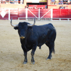 Rompesuelas ayer en la Plaza de Toros de Tordesillas.-d.Manjarrés