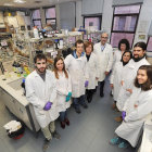 Los miembros del grupo de Investigación SUPRABUR del área de Química Orgánica de la Universidad de Burgos posan en el laboratorio en el que realizan este proyecto.-ISRAEL L. MURILLO