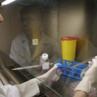 Una investigadora del Centro del Cáncer toma una muestra.-ENRIQUE CARRASCAL