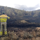 Incendio en la Sierra de la Culebra en Zamora. - ICAL