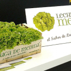 La Lechuga de Medina cuenta con dos variedades:‘Batavia’ y ‘Hoja de Roble’.-ECB