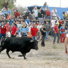 Torneo del Toro de la Vega en Tordesillas.-Pablo Requejo