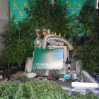 Dos detenidos y desmantelado un laboratorio de marihuana en Moral de la Reina (Valladolid) con 77 plantas.-ICAL