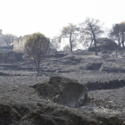 Imagen del incendio de Fermoselle.-ICAL