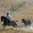 Un caballista intenta reconducir a uno de los toros en Cuéllar.-El Mundo