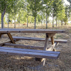 Zona de la chopera, donde se instalará una nueva pista de pádel y un circuito de fitness al aire libre.-RAÚL GONZÁLEZ SANZ