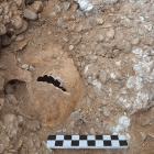 Uno de los cráneos encontrados en la excavación de la fosa del Carmen.- E. M.