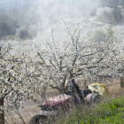 Un agricultor del Valle de las Caderechas realizando la fumigación de los frutales este sábado, en el último fin de semana de la floración de cerezos y manzanos.- ISRAEL L. MURILLO