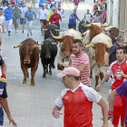 Los mozos corren los toros por las calles de Peñafiel. Con rayas rojas 'Leguiche', cortador medinense.-J.M. Lostau