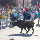 Imagen de archivo de un encierro en Laguna de Duero, municipio que ya está en proceso de contratar los festejos para este año.-PHOTOGENIC