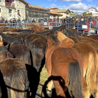 Visitantes de la Feria agroganadera y de la patata de Losa contemplan caballos losinos, en peligro de extinción.-E.M.