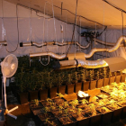 Plantación de marihuana intervernida por la Guardia Civil.-ICAL