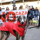 Manifestación contra el maltrato animal y la caza en febrero del 2019 en Valladolid.-ICAL - ARCHIVO