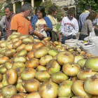 A la izquierda, compradores y curiosos conversan ante un expositor de cebollas en Palenzuela (Palencia). Arriba, cebollas asadas preparadas para una degustación.-BRÁGIMO