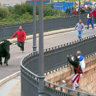 Dos aficionados se cuelgan ayer de la barandilla del puente de Tordesillas para evitar la embestida de ‘Pelado’.-JOSE C. CASTILLO
