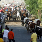 Los seis toros recorren las calles de Medina del Campo acompañados de los caballistas en el primer encierro.-E.M.