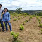 José Manuel y Liliana, en uno de sus pagos de viña vieja, en el arribe, junto al Duero.-ARGICOMUNICACIÓN