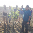 Julián Guerrero, asesor agrícola, imparte un curso de poda en verde organizado por Aspropicyl en Valladolid.-ASPROPICYL