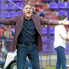Paco Herrera se queja junto al banquillo durante el partido frente al Elche.-J.M.LOSTAU