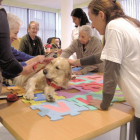 Varias residentes peinan, ayer, a uno de los canes en la jornada de terapia asistida con animales en La Seca.-El Mundo