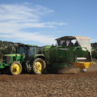 Varios agricultores trabajan en un campo de patata de la provincia de Burgos.-ICAL