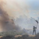 Un incendio provocado el jueves en Palencia por la quema intencionada de pelusas de chopo.-ICAL