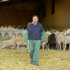 Juan Manuel Salvador con sus ovejas en Peñausende.-E.M.