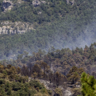 Incendio en los Montes Obarenes, provincia de Burgos.-Ical