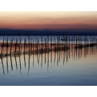 El lago de la Albufera , en Valencia.-MIGUEL LORENZO