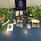 Sustancias incautadas por la Policía Nacional de Astorga.-SUBDELEGACIÓN