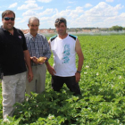 Juan Antonio Ortega, Mariano Blanco y Juan Carlos Prieto, agricultores de San Miguel del Pino (Valladolid), en su parcela situada en una zona patatera tradicional de Castilla y León.-M.C.