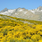 Aspecto que presentan las vertientes de  Gredos durante estas semanas-EDU HINOJAL. FOTOGRAFÍA