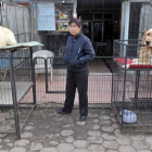 Unos perros esperan un dueño en un mercado de mascotas de una ciudad china.-EFE / WEITAO TIAN