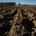 Un trabajador realiza distintas labores agrarias con su tractor en una parcela de la Comunidad. /-ENRIQUE CARRASCAL