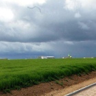 Tramo de la vía verde de la localidad vallisoletana de Villalón de Campos en el que se conserva un raíl del tren burra.-ICAL