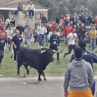 'Pelado' durante la celebración del Toro de la Peña-EL MUNDO
